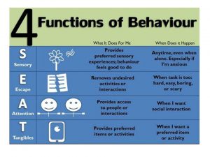 Functions of Behaviour
